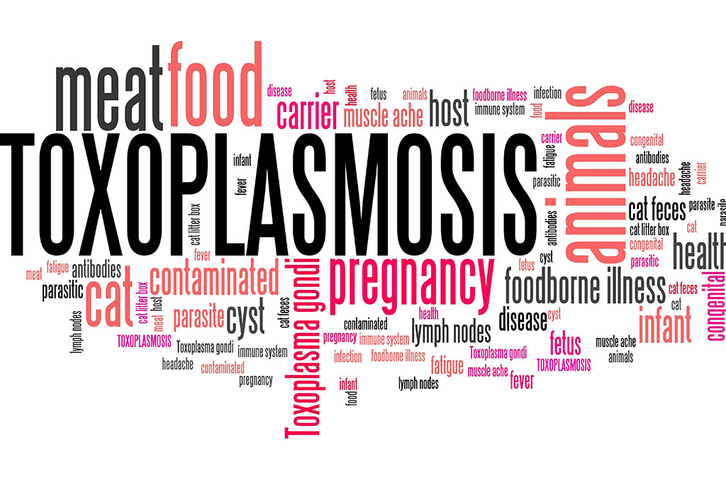 Toxoplasmosis during Pregnancy Reasons, Signs & Treatment