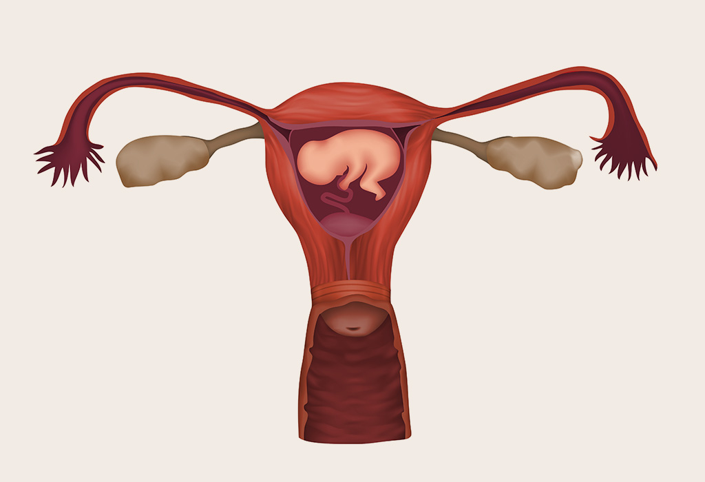 low-lying-placenta-signs-causes-treatment