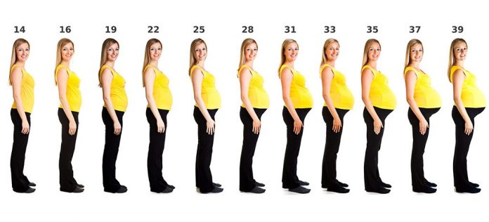 Pregnancy Body Changes – Week 1 to Week 42