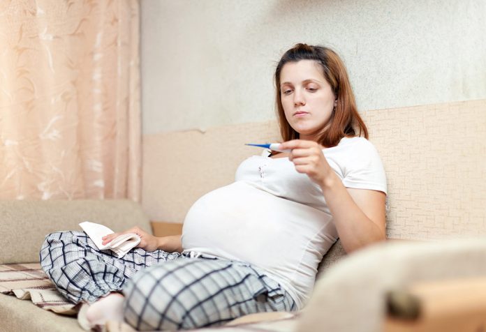 typhoid in pregnancy