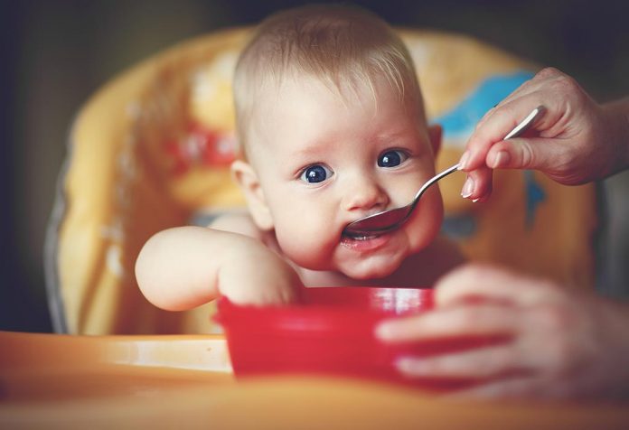 Top 12 High-Calorie Foods for Babies