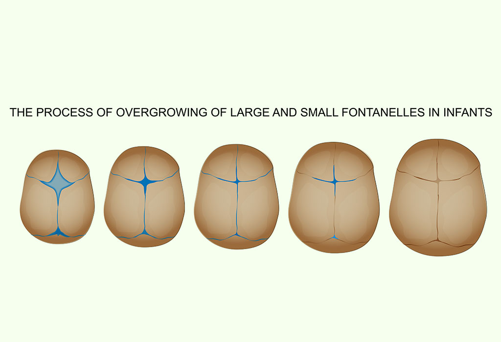 Fontanelles On Newborn Head Reasons, Signs & Treatment