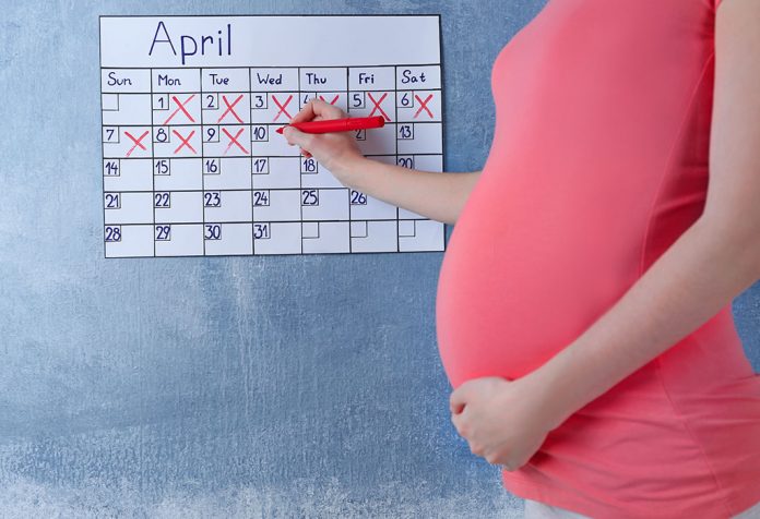 Calculate Your Pregnancy - By Months, Weeks and Trimester