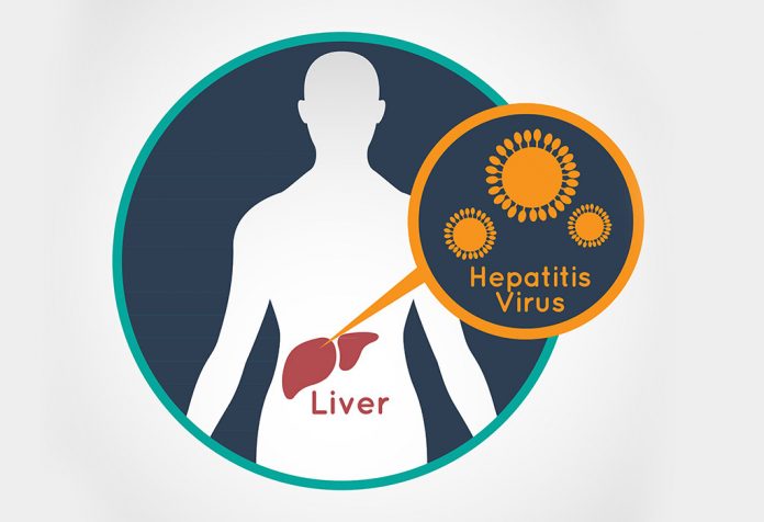 HEPATITIS VIRUS AFFECTS THE LIVER