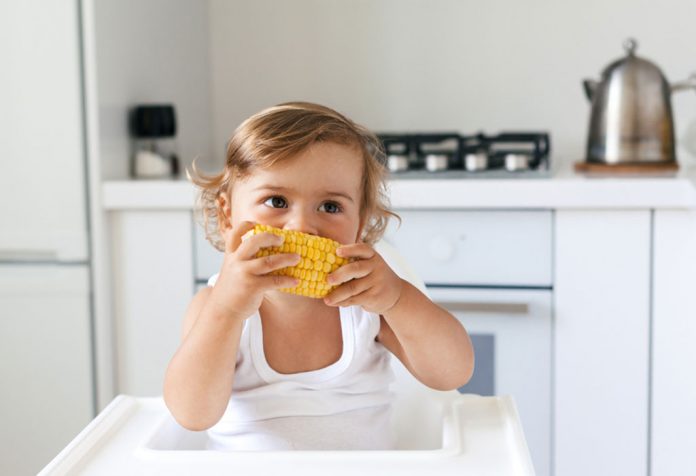 A baby eating corn