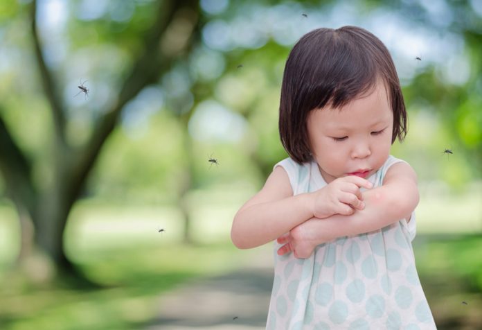 A little girl surrounded by mosquitoes at a park