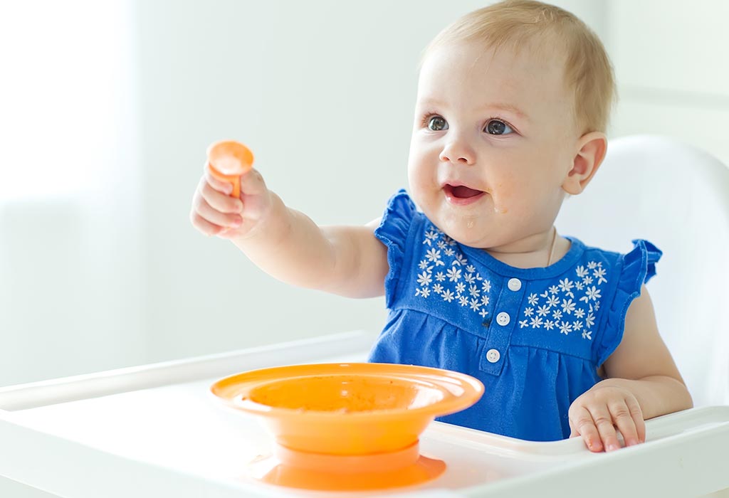 8 Months Old Baby Food Ideas