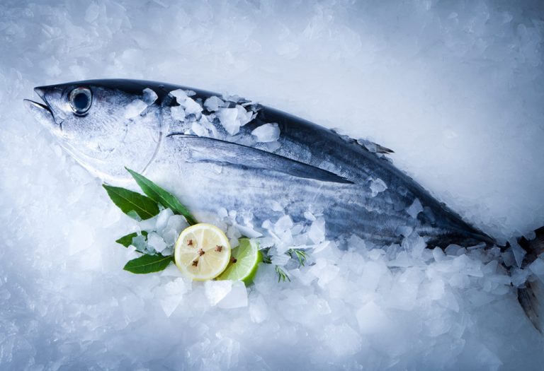 consuming-tuna-during-pregnancy-health-benefits-and-risks