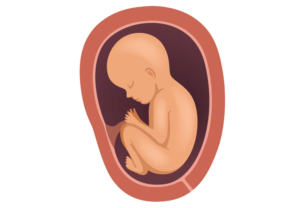 pregnancy-in-the-eighth-month-medical-information