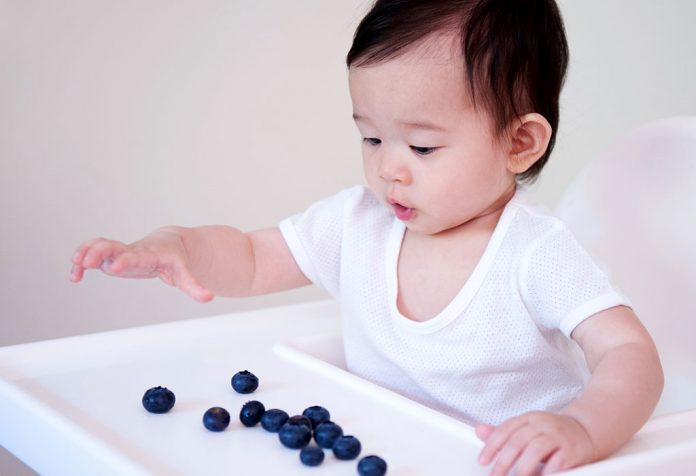 A baby staring at blueberries