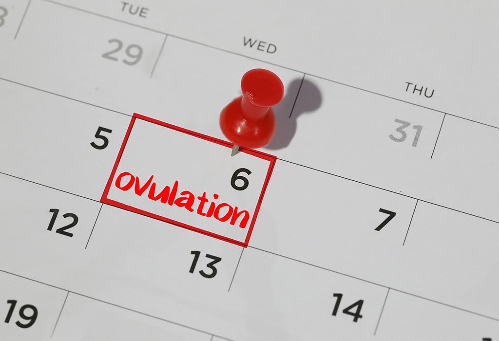 Cough Syrup While Pregnant First Trimester at Michelle Bloom blog