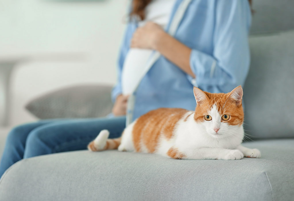 Is It Ok To Be Around Cat Litter While Pregnant