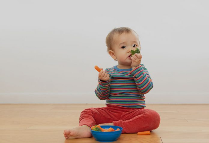 15 Months Old Baby Food Ideas Along with Recipes